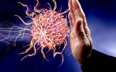 ¿La clave para tu salud? Un sistema inmunológico estable