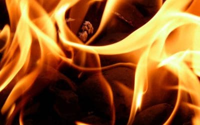 Fuego: luz, fuerza y calor en tu vida