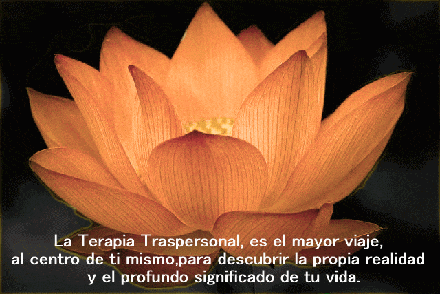 COACH TRANSPERSONAL HOLÍSTICO E HIPNOSIS