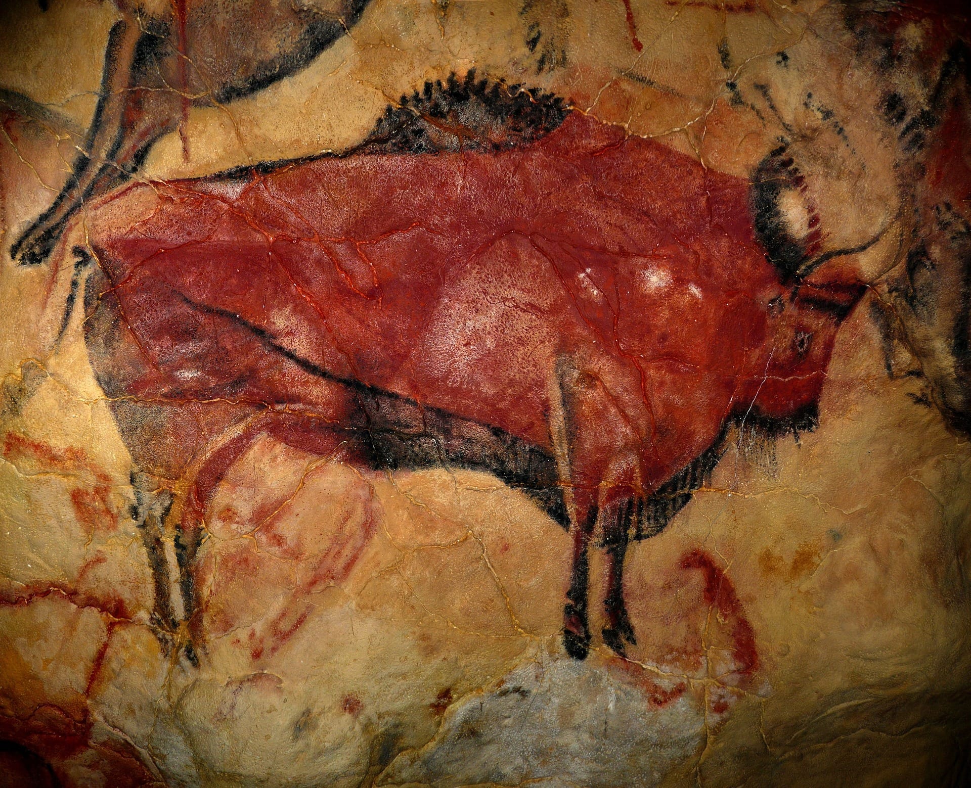Paleolítico Homo Sapiens