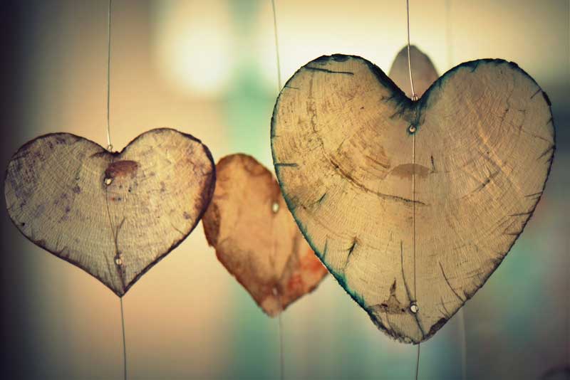 corazón trasplante personalidad