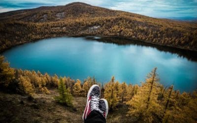 Calidad de vida y contacto con la naturaleza: los efectos de los entornos naturales sobre nuestro bienestar.