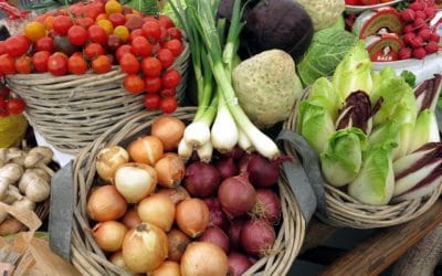 Las plantas más usadas para combatir los dolores musculares