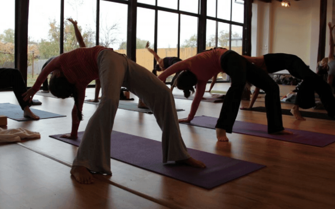 Primera rama del Yoga “YAMA” El código de la conducta social